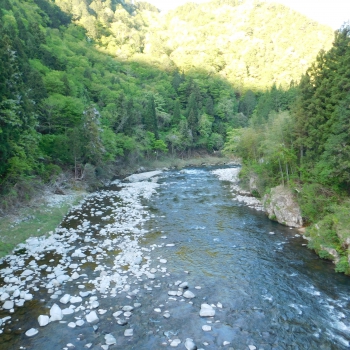 DSCN9853 - コピー.JPG